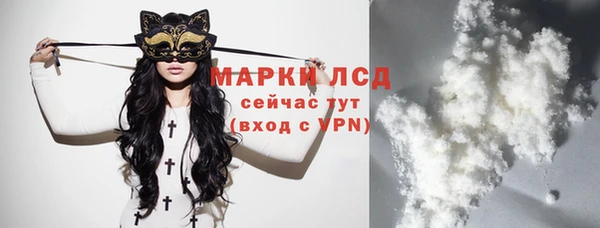 ГАЛЛЮЦИНОГЕННЫЕ ГРИБЫ Богданович