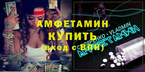 ГАЛЛЮЦИНОГЕННЫЕ ГРИБЫ Богданович