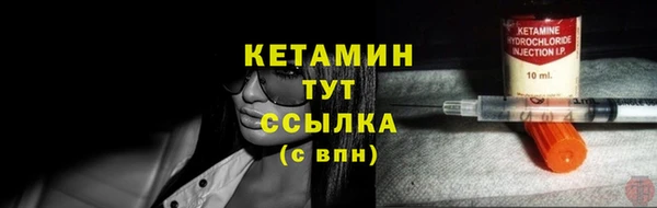 ГАЛЛЮЦИНОГЕННЫЕ ГРИБЫ Богданович