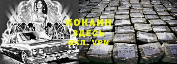 ГАЛЛЮЦИНОГЕННЫЕ ГРИБЫ Богданович