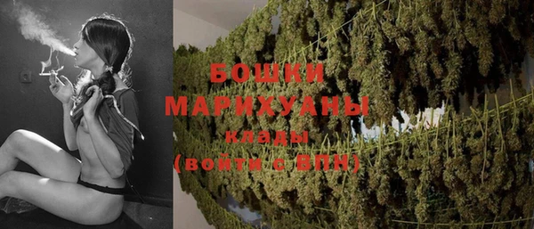 ГАЛЛЮЦИНОГЕННЫЕ ГРИБЫ Богданович
