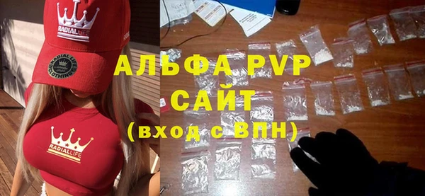 ГАЛЛЮЦИНОГЕННЫЕ ГРИБЫ Богданович
