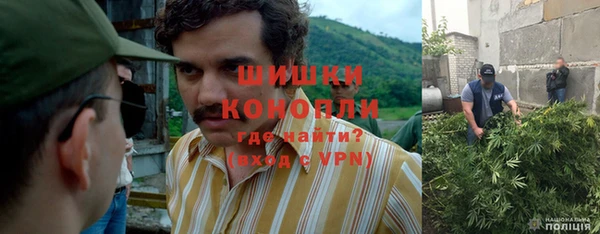 ГАЛЛЮЦИНОГЕННЫЕ ГРИБЫ Богданович