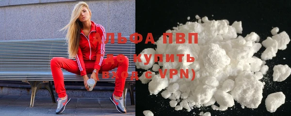 ГАЛЛЮЦИНОГЕННЫЕ ГРИБЫ Богданович